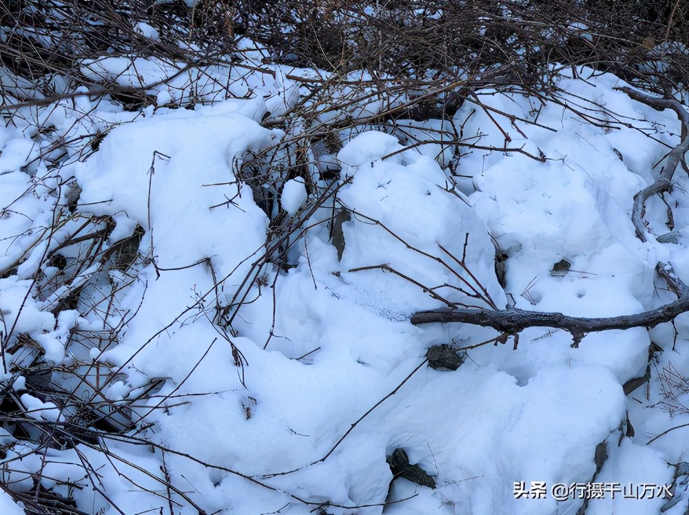 梯子山济南攻略,梯子山徒步攻略