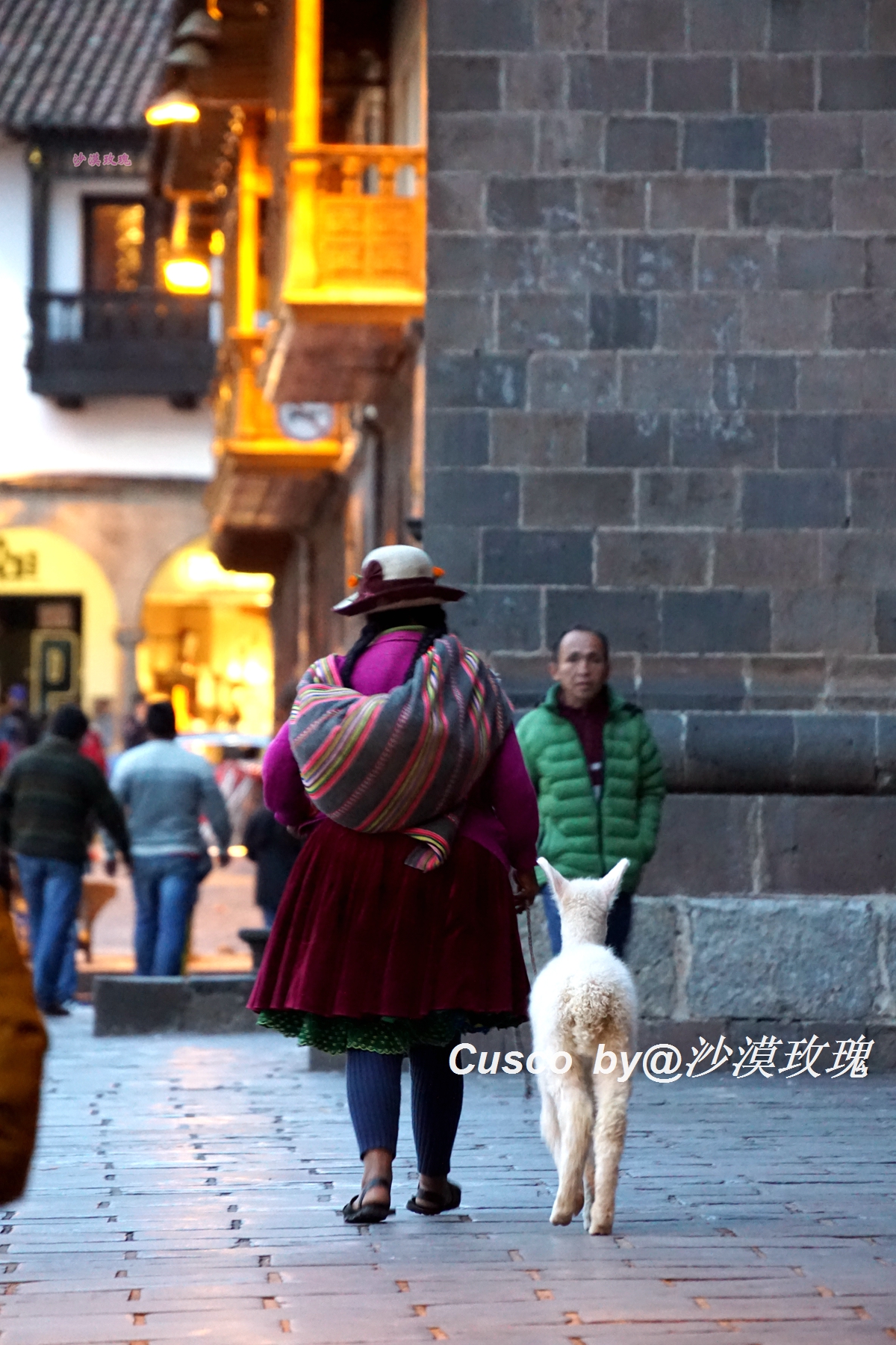 秘鲁国菜塞维切图片,秘鲁国菜十大名菜品尝