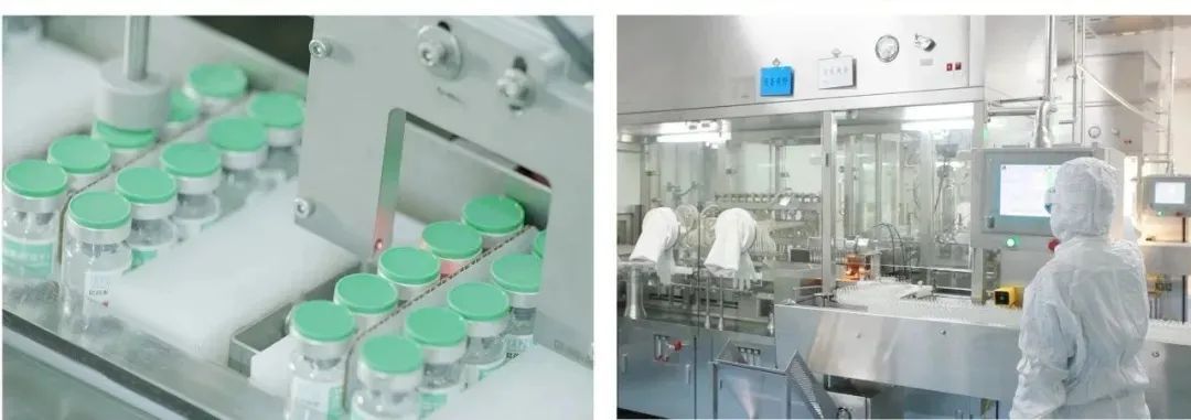 云南昆药集团简介,昆药集团公司简介