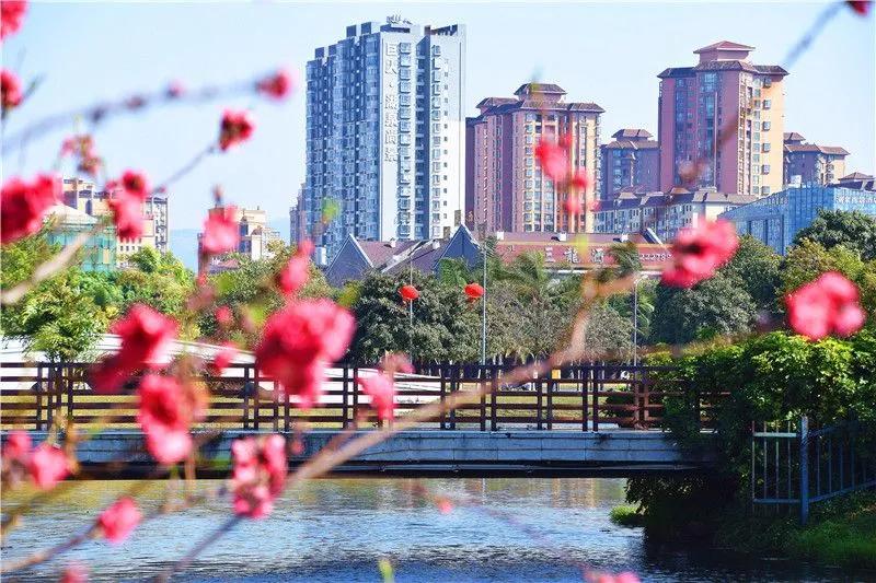 瞧!这花花世界谁不爱