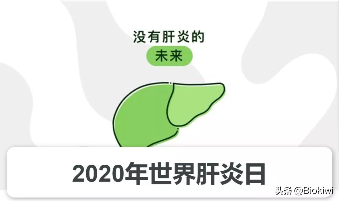 丙肝没病毒了还需要治疗吗,没有病毒的丙肝能传染吗