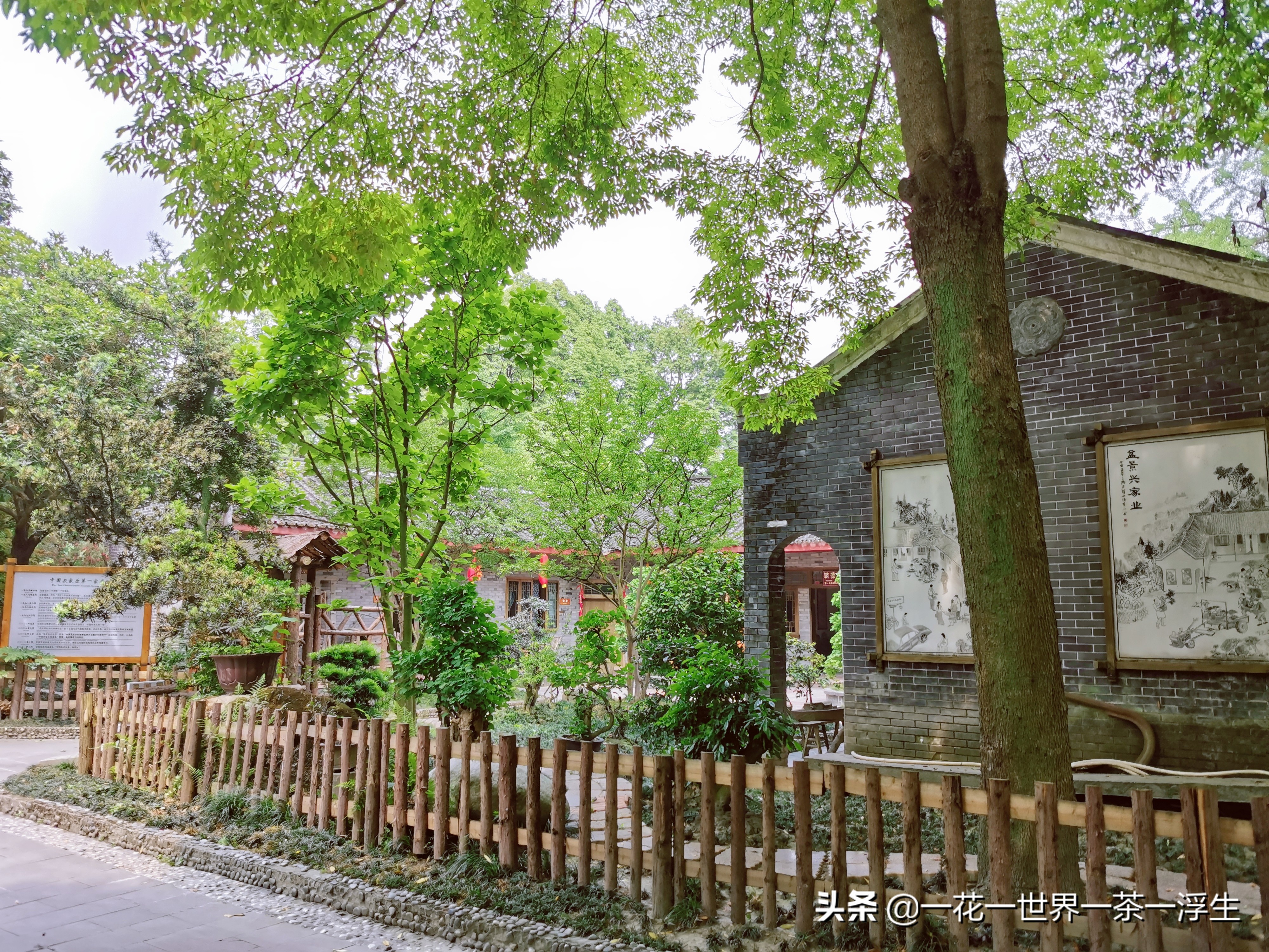 寻找巴适的成都小院（2）