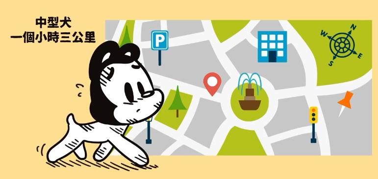 宠物狗走丢了一般怎么找回,在哪里寻找走丢的狗狗最有效