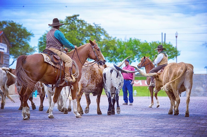 德克萨斯州民风有多彪悍,德克萨斯州哪座城市最好