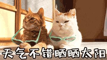 40天宝宝的照片,40天宝宝黄疸消退只用四招