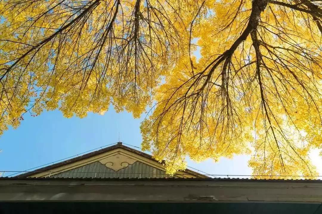 北京科技大学招研究生简章,北京科技大学官网研究生招生简章