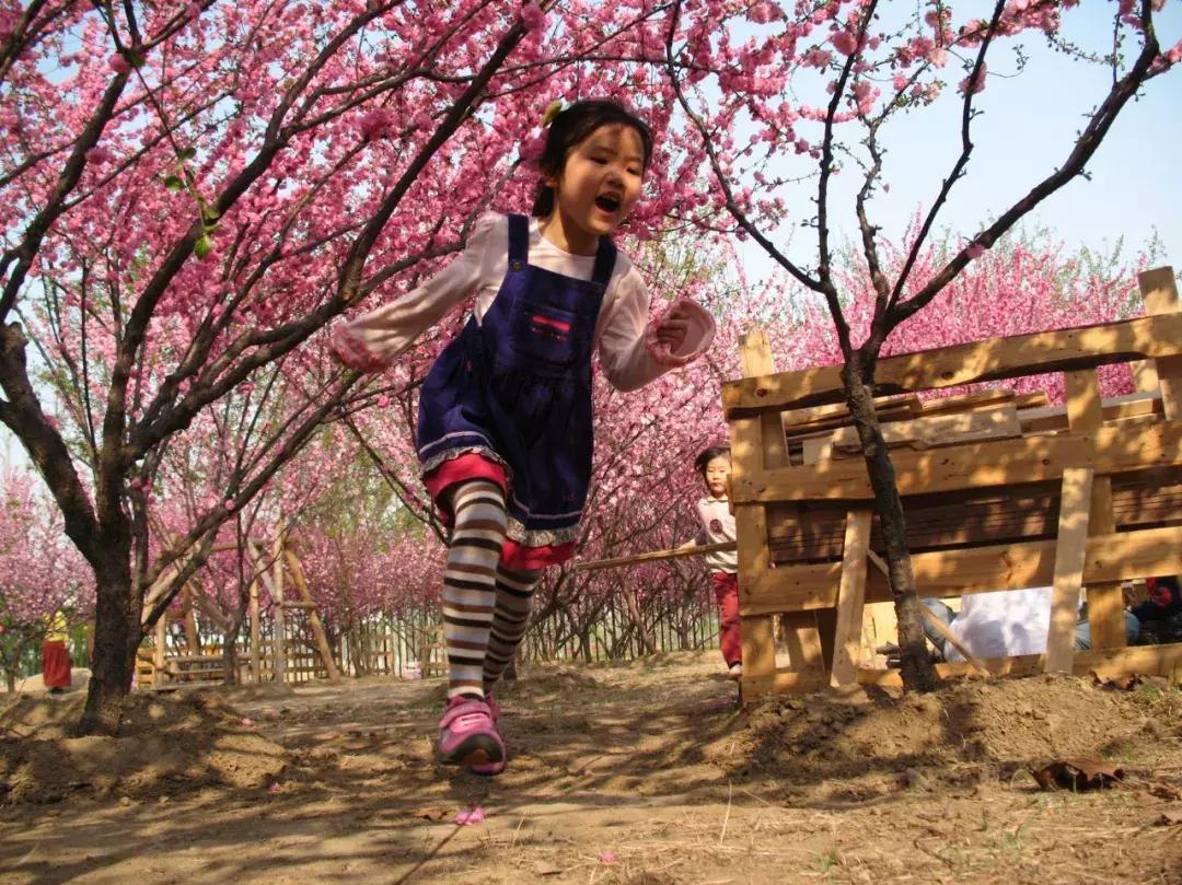 读城中国花絮完整,读城中国21集