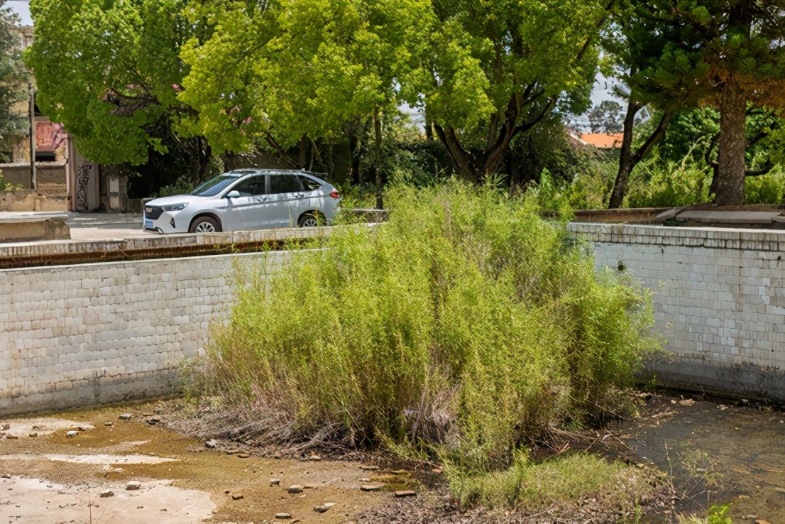 哈弗m6plus2021款手动豪华版,23款哈弗m6plus沉浸式体验