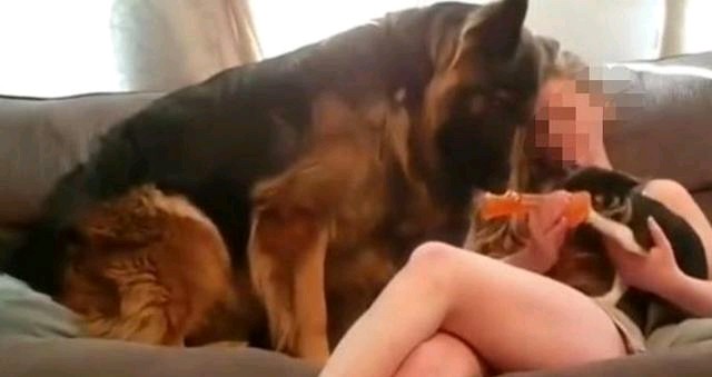 女子受伤被狗舔截肢,被狗舔过截肢事件