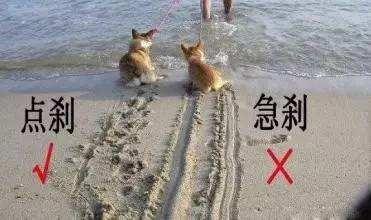 新手开车遇到急刹车怎么办,高速急刹是点刹好还是直接踩死