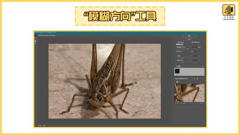 干货解读：“锐化”拯救废片的基本功，前期不足，后期来凑？