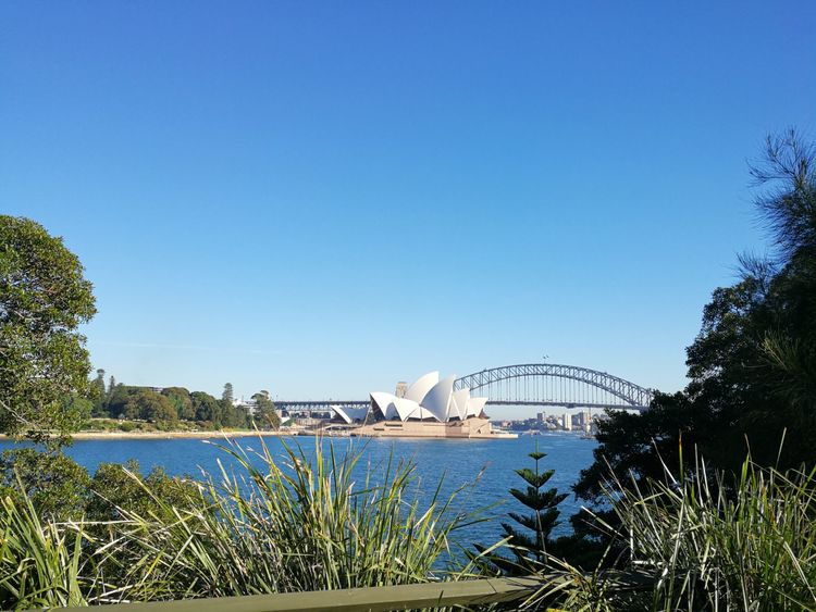 悉尼和墨尔本哪个城市更宜居,悉尼vs上海哪个更适合宜居