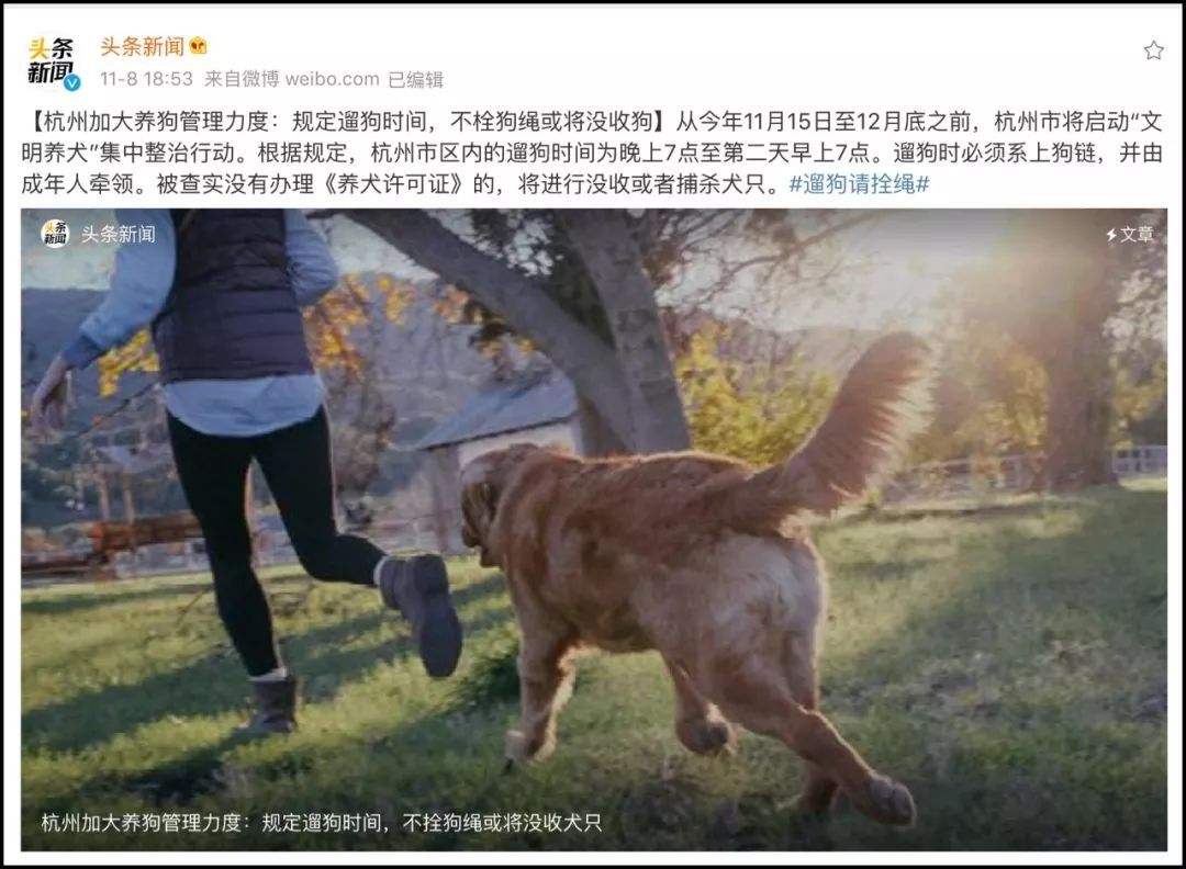 为啥现在爱狗人士少了,爱狗人士为啥变成贬义词