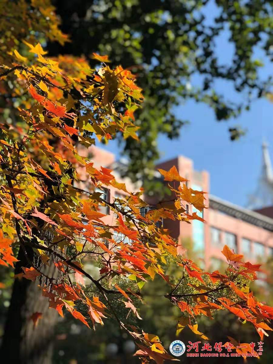 保定一中分校规划图,保定一期城改安置区效果图