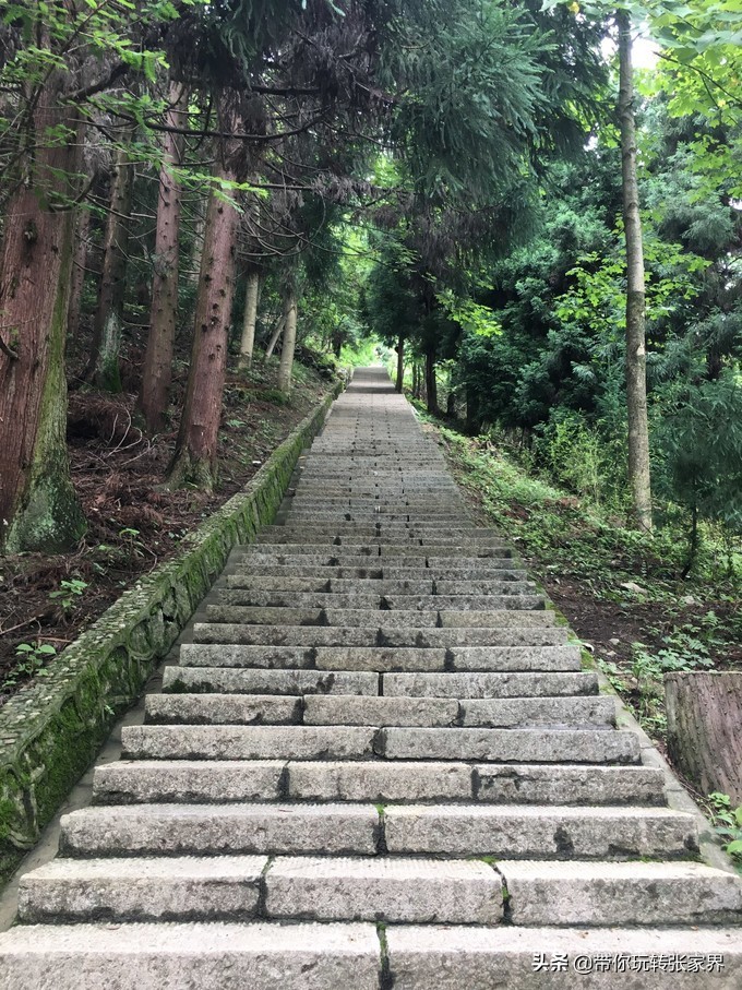 到张家界天门山自助游价格多少钱,武汉到张家界天门山三日游