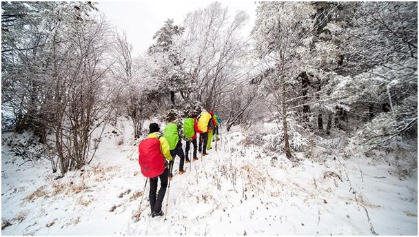 去神农架旅游攻略3天2晚,郑州到神农架自驾游最佳路线攻略