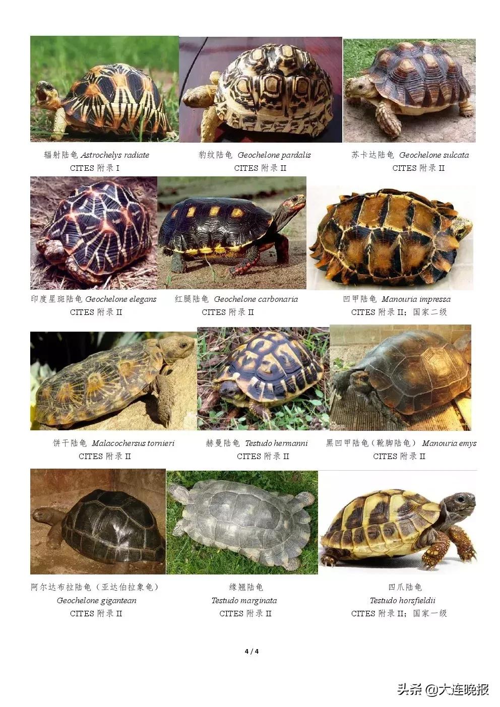 大连破获一起重大案件！涉及大半个中国