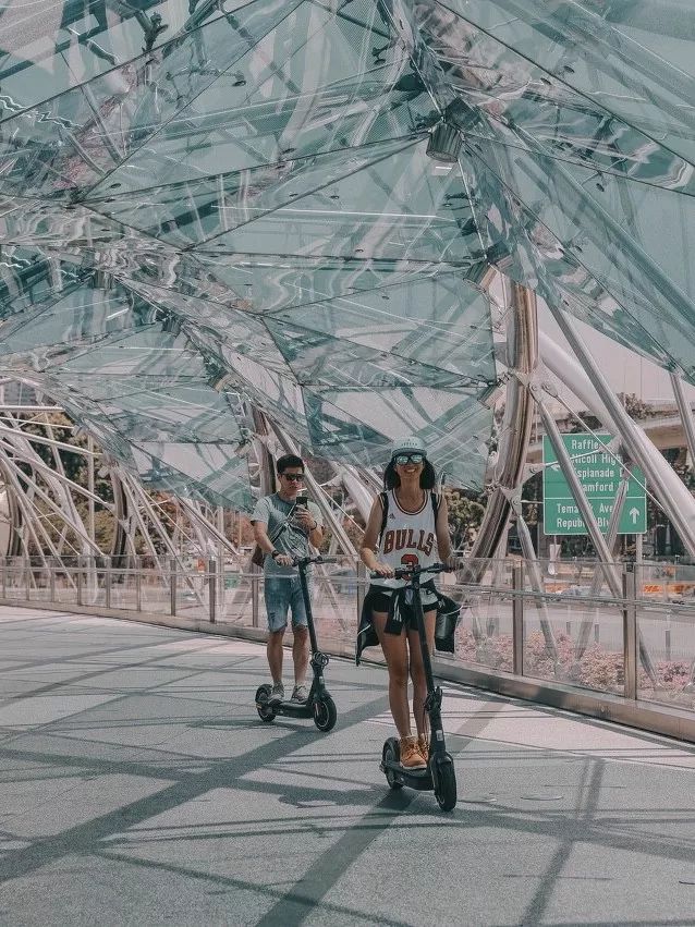 亚洲国家低生育率,新加坡低生育时代