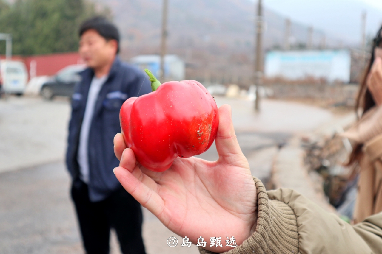 远离城市休闲的好地方,青岛郊区小众好去处