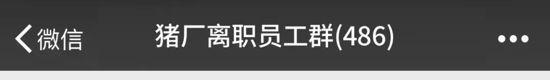沙雕有趣的微信群名,又沙雕又土的微信群名