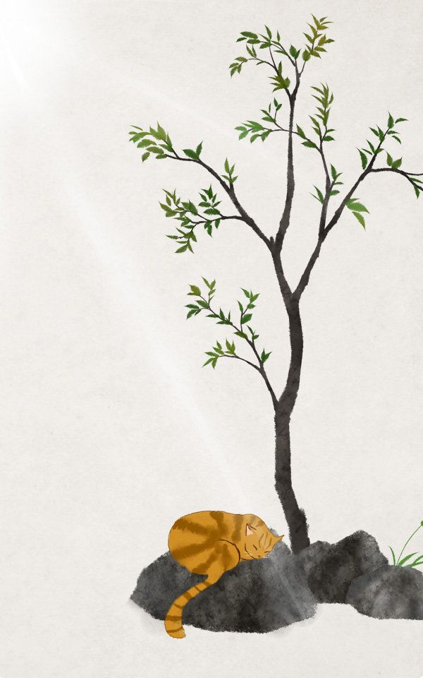 此去经年许时光静美愿你我无恙,10句惊艳岁月的诗词