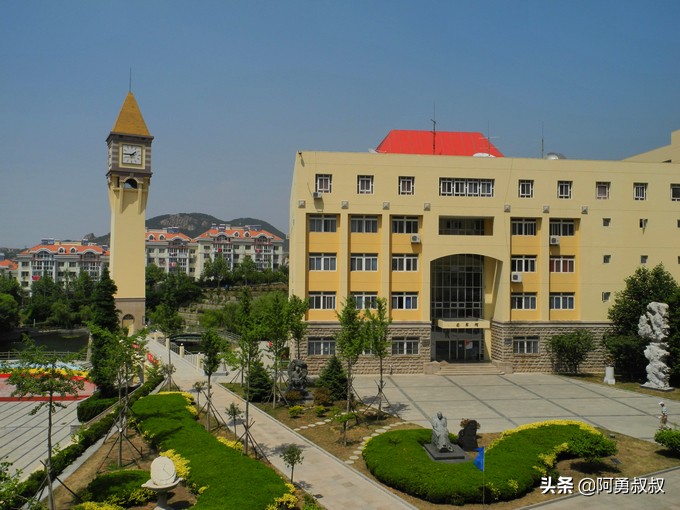 青岛二中2019高考成绩,经验分享大学专业