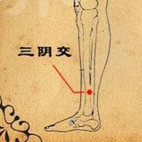 双十二种草日期,双十二种草有什么好处