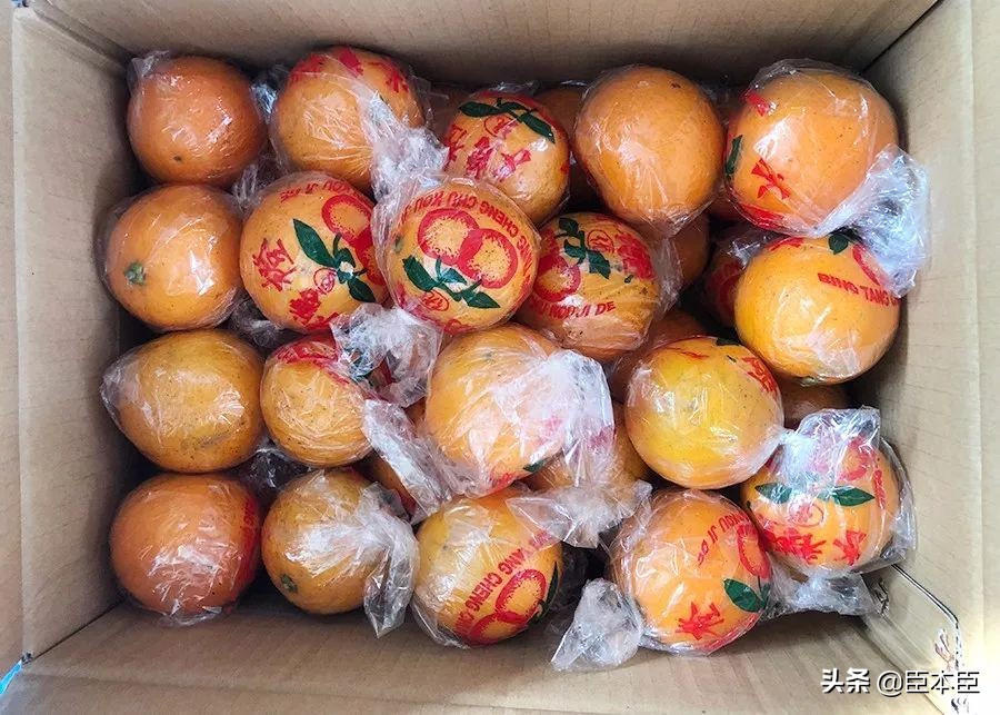 酸甜口的橙子适合怎么吃,鲜橙子怎么挑汁多的