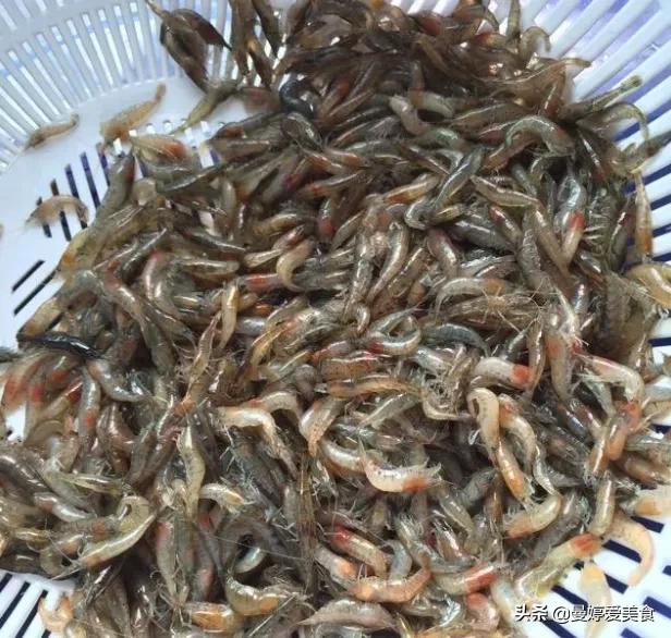 虾仁炒什么小孩补钙,韭菜鸡蛋炒河虾宝宝版