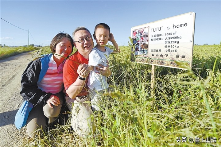 最新高效设施农业促增收,农业如何做到高产高效高收入