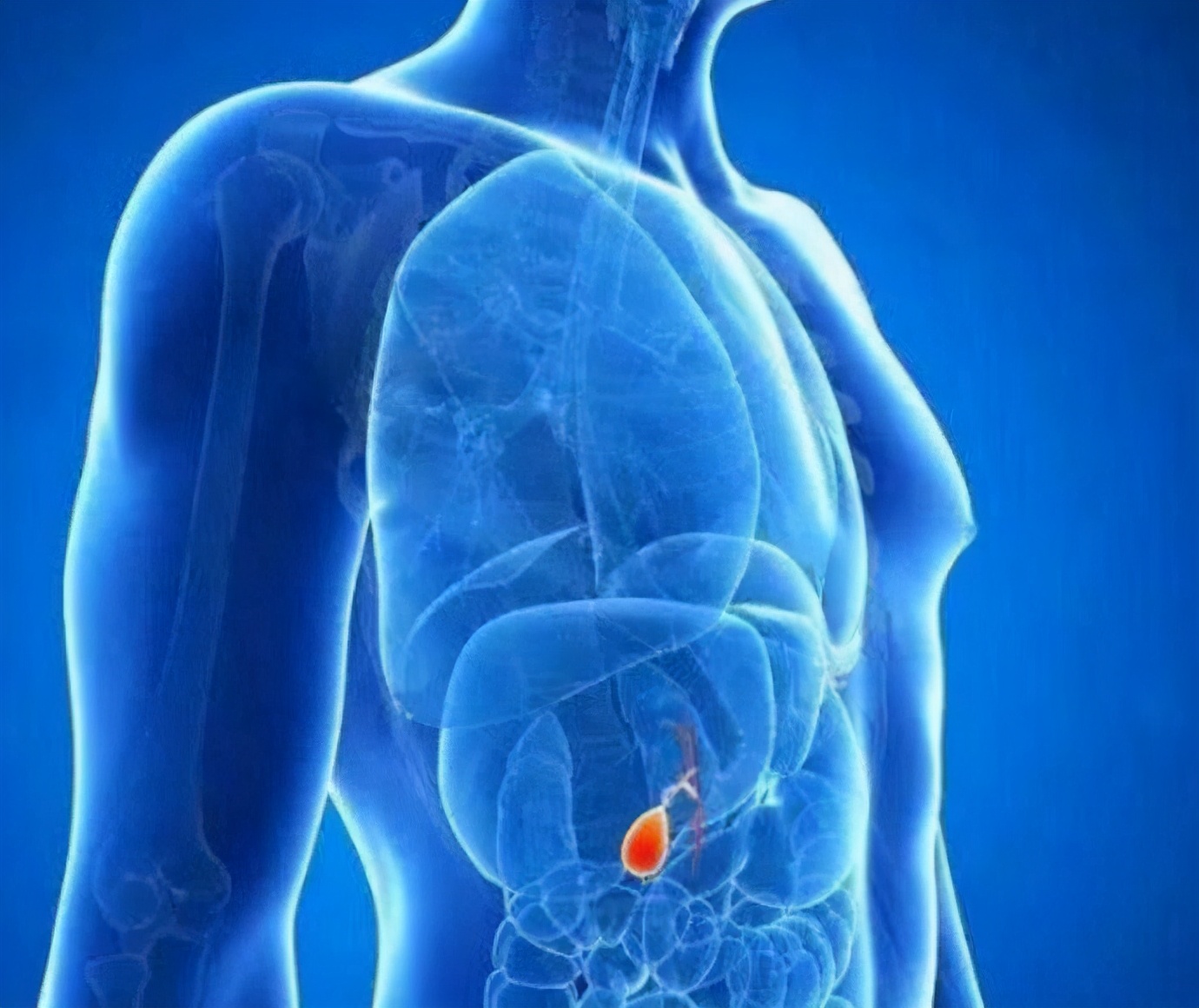 胆囊炎怎么才能不长结石,胆囊炎发作时最好的缓解办法