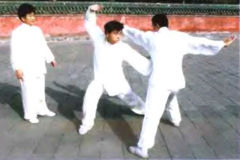 国术八极拳完整版教程,国术八极拳图片大全