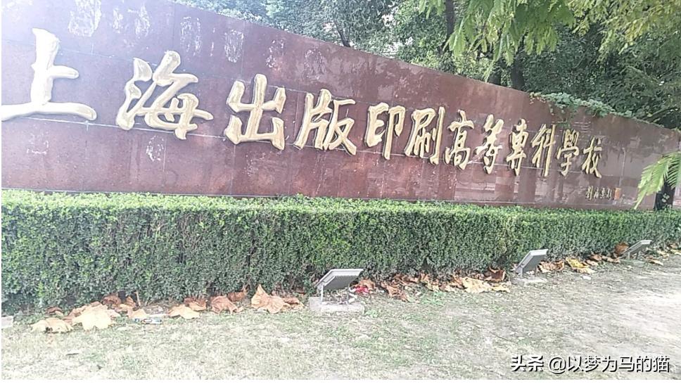 上海4所著名大学,上海4所专科大学