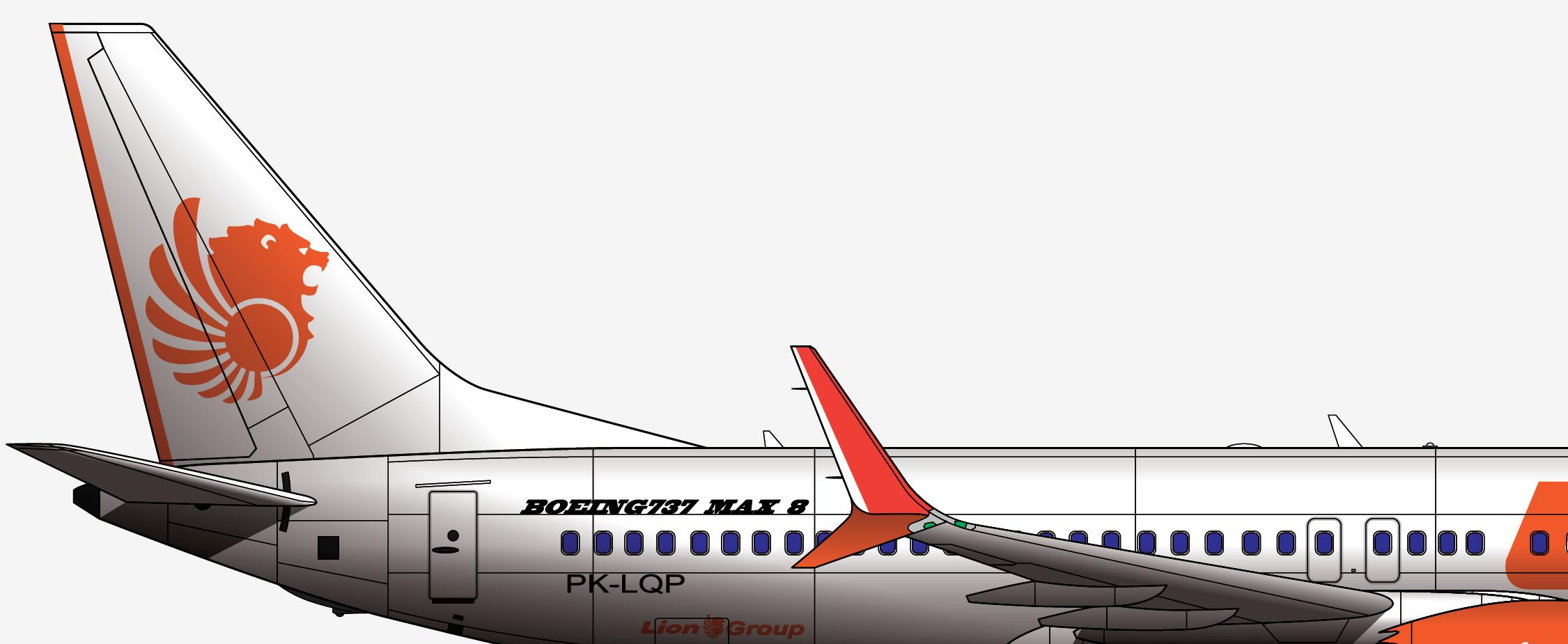 737max8狮子,737max8客机视频
