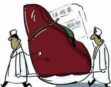 辟谣肝功能,辟谣肝不好