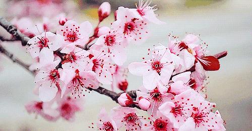 我们太太太太久没见了，这次我想跟你...