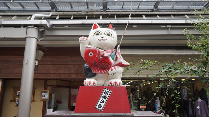 六月带你日本游,日本名古屋旅游7天