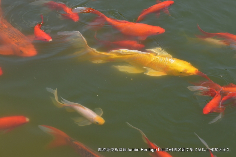 第2012回：兴献帝明显陵双茔，正德帝明武宗恣性