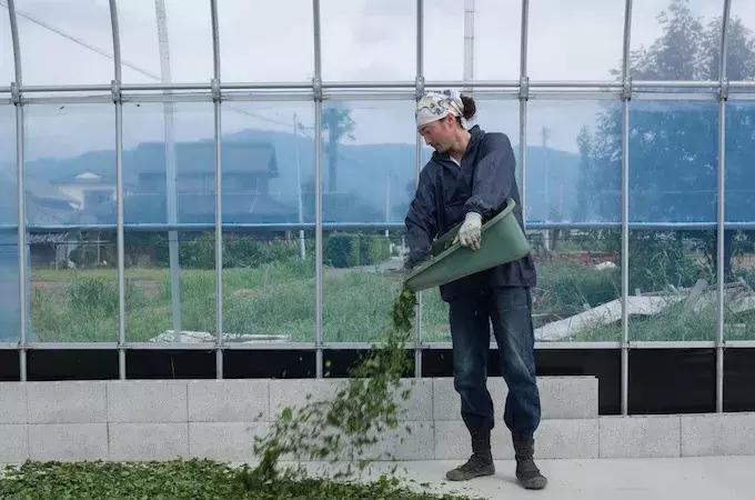 匡威1970s配色最好看的,什么颜色的匡威1970s好看