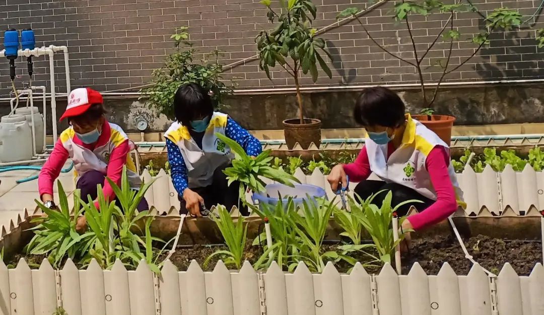 荔湾｜华林街社工站：发挥社会工作的专业优势，多方面参与社区疫情防控