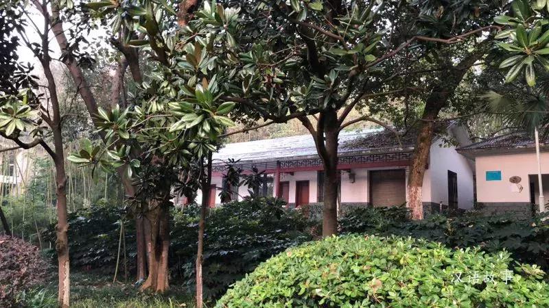 「房事」双语小说01:大老板是个泥腿子