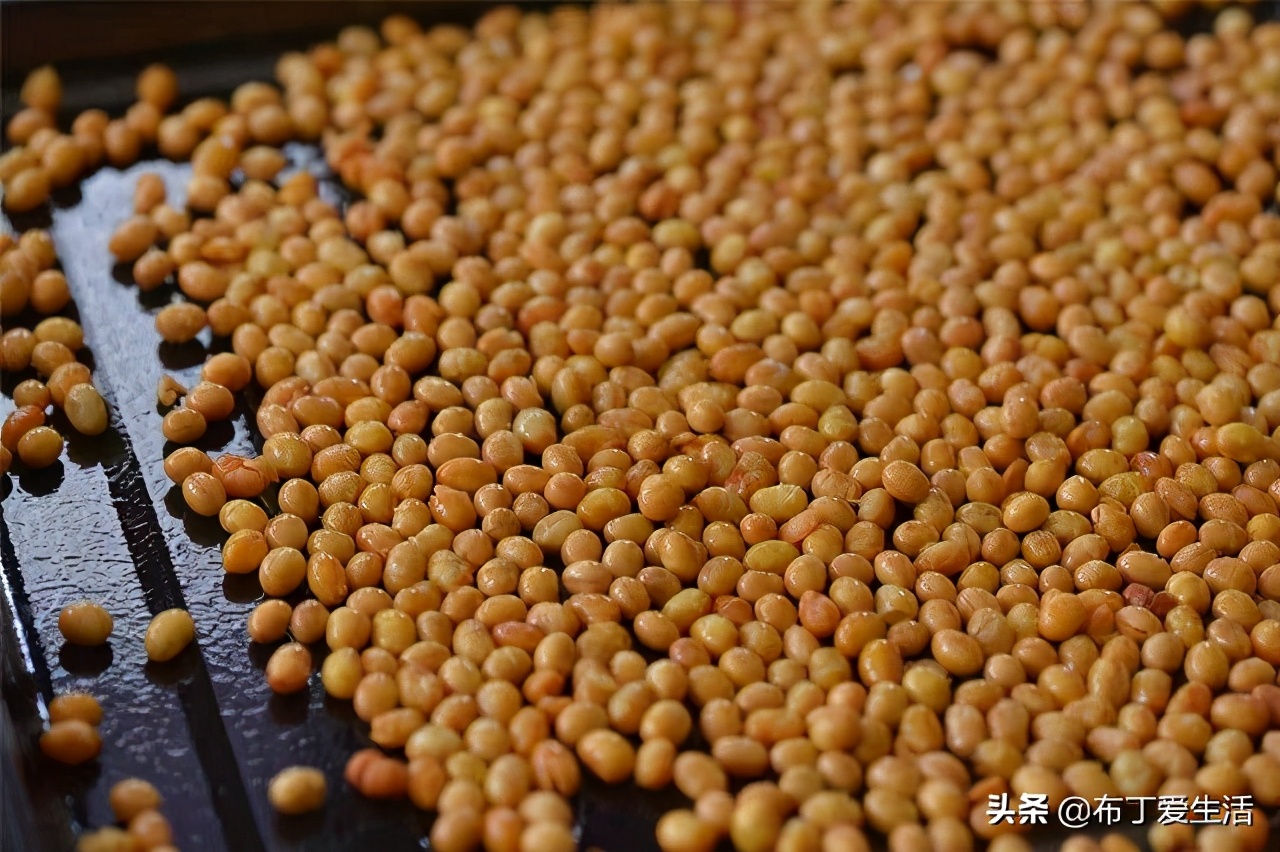 黄豆怎么炸下酒,黄豆怎么炸才酥脆好吃