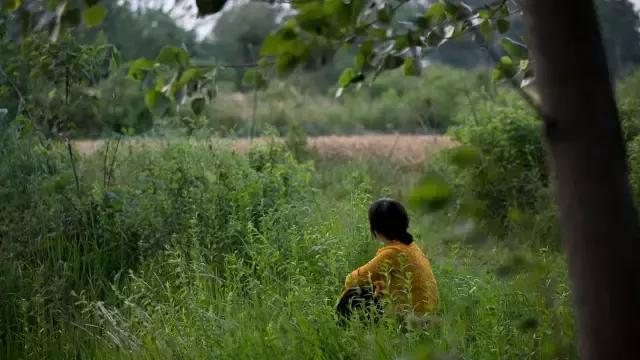这个自称荡妇的女人，把男女最不能启齿的欲望，写得太爽了