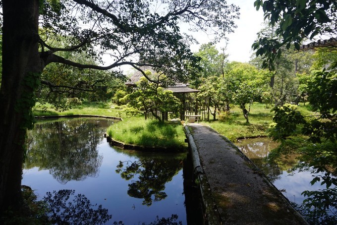 大阪蹦迪酒吧,京都大阪烧