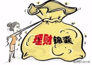 工商管理财务方向论文,工商管理会计学财务管理审计学