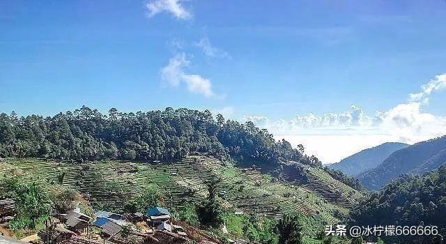 农民返乡创业有哪些好项目可以做,返乡创业扶持项目政策