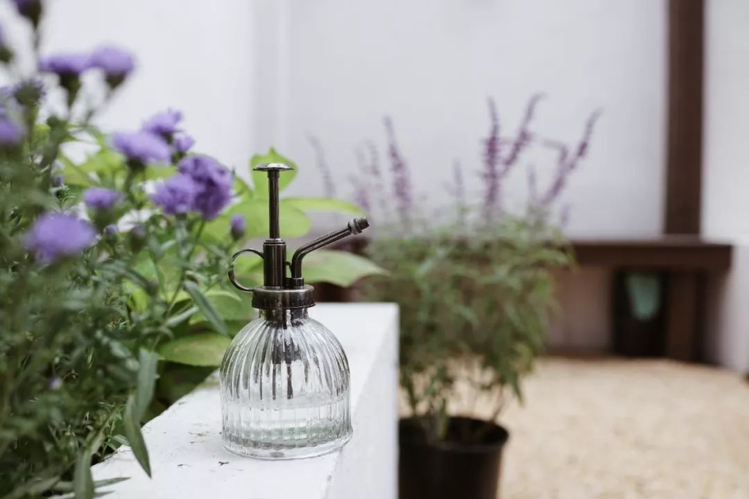 2024年上海二手学区房,上海二手学区房