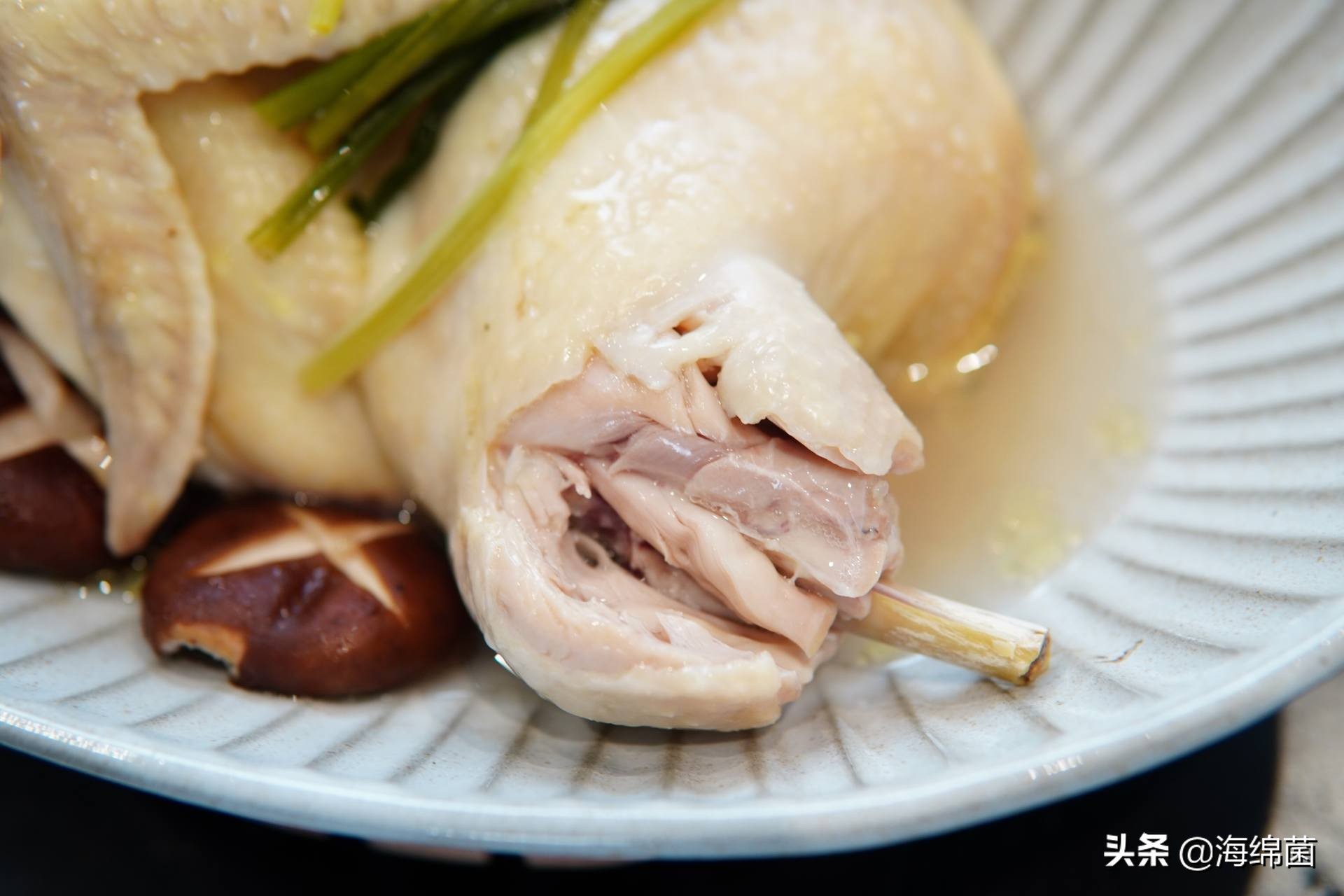 博拉利多功能蒸汽料理锅测评,博拉利蒸汽锅介绍