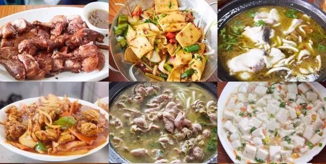 最好的蟋蟀排行榜,老上海宠物