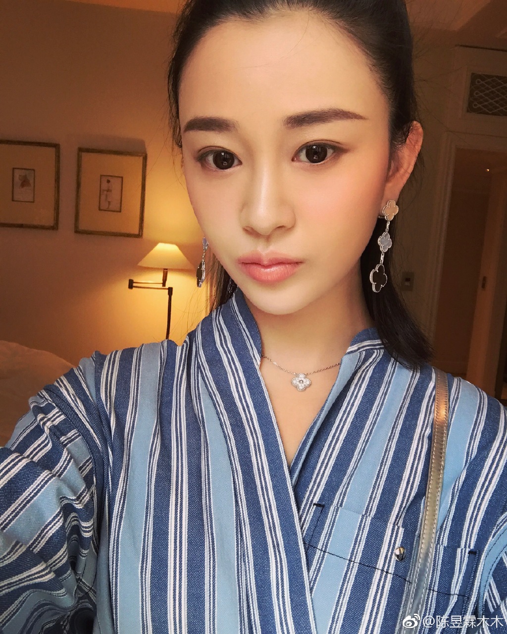 陈昱霖的奢侈品,陈昱霖同款珠宝包